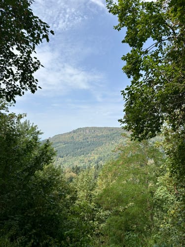 Merkur via Fuchsweg