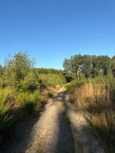 Rund um die Bevertalsperre