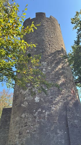 Ruine Zähringer Burg ab Herdern