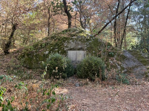 Ruine Zähringer Burg ab Herdern