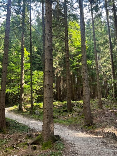Schliersee - Rohnberg