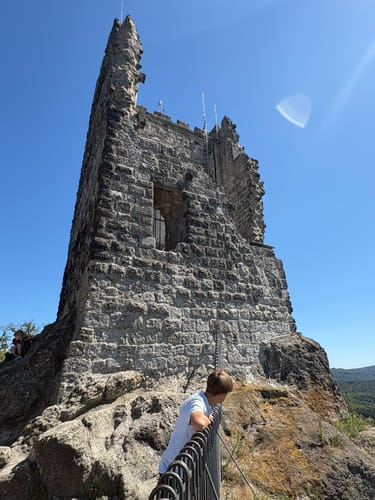 Königswinter - Drachenfels - Milchhäuschen -  Hirschburg