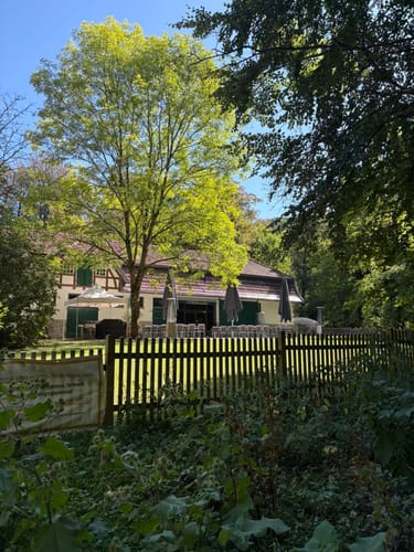 Königswinter - Drachenfels - Milchhäuschen -  Hirschburg