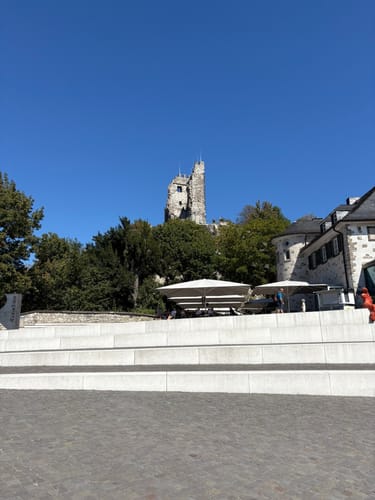 Königswinter - Drachenfels - Milchhäuschen -  Hirschburg