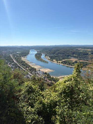 Königswinter - Drachenfels - Milchhäuschen -  Hirschburg