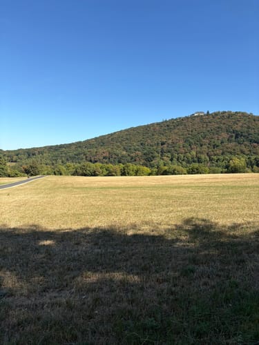 Königswinter - Drachenfels - Milchhäuschen -  Hirschburg