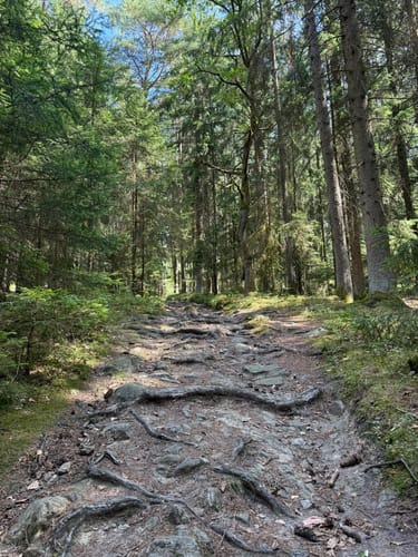 Friedrich-Nitzsche-Weg