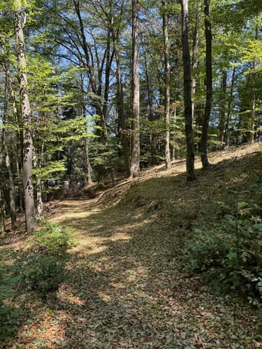 Friedrich-Nitzsche-Weg