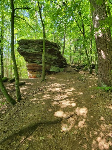 Felsenwald (Premiumwanderweg)