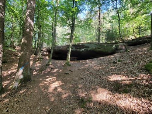 Felsenwald (Premiumwanderweg)