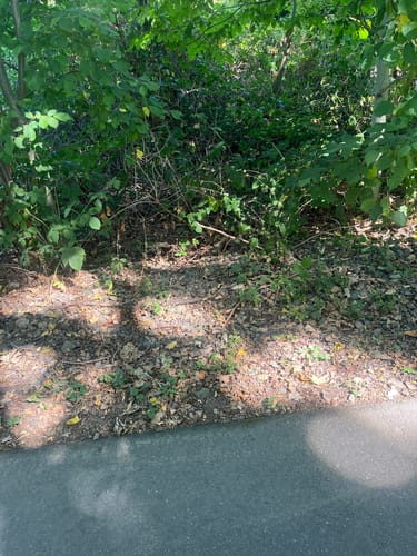 Bergisch-Neukirchen Rundweg A1