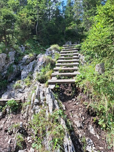 Reiter Alm über Wachterlsteig