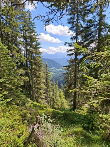 Reiter Alm über Wachterlsteig