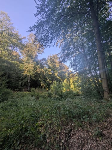 Neuweiler Gehnbach