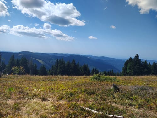Westweg Etappe 10 West: Hinterzarten - Wiedener Eck