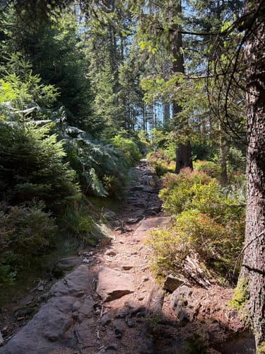 Schwarzenbachtalsperre zur Badener Höhe