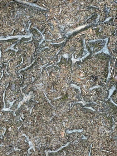 Schwarzenbachtalsperre zur Badener Höhe