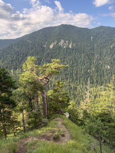 Bergtour Hoher Fricken