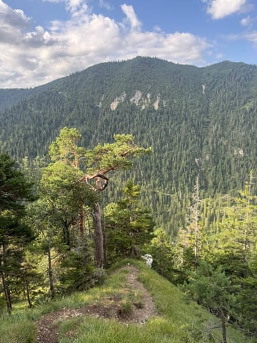 Bergtour Hoher Fricken