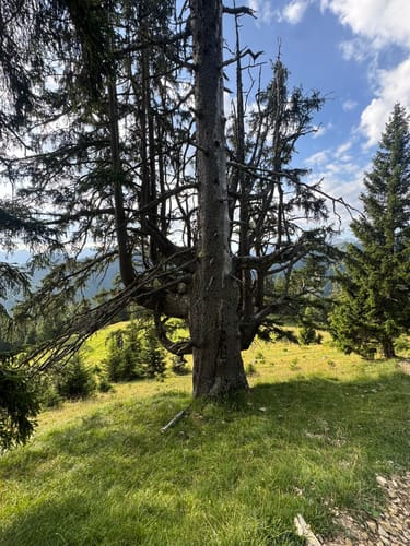 Bergtour Hoher Fricken