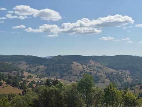 Belchensteig (Genießerpfad)