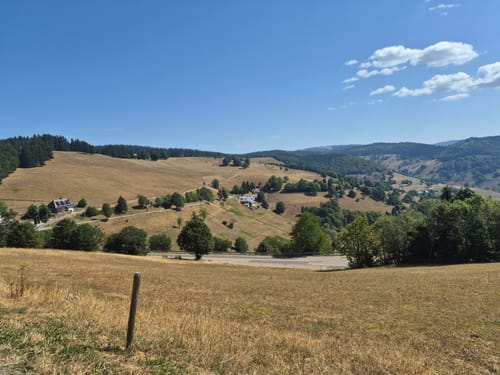 Belchensteig (Genießerpfad)