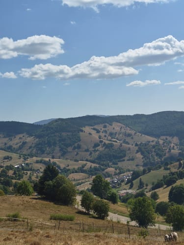 Belchensteig (Genießerpfad)