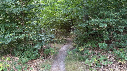 Froschfelsen, Westerberg und Meineberg