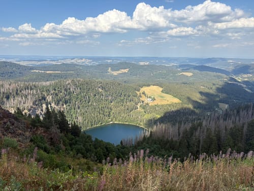 Feldbergsteig (Genießerpfad)