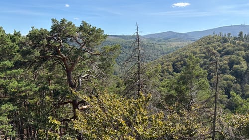 Froschfelsen, Westerberg und Meineberg