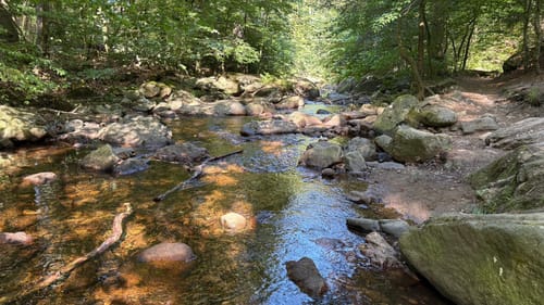 Froschfelsen, Westerberg und Meineberg