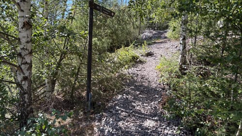 Froschfelsen, Westerberg und Meineberg