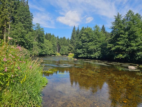 Bayrisch Kanada Rundweg Nr. 14