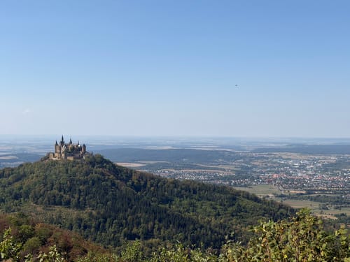 Zeller Horn