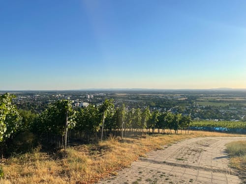 Staatspark Fürstenlager Rundweg