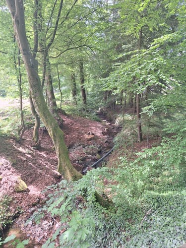 Langenei Rundwanderweg
