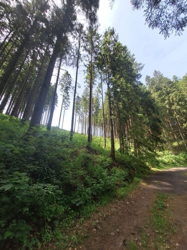 Langenei Rundwanderweg