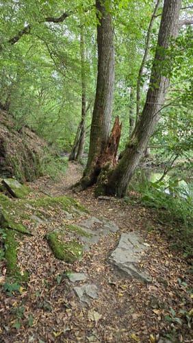 Layensteig Strimmiger Berg (Traumschleife)