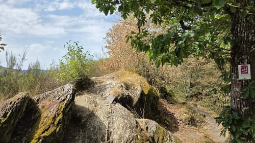 Layensteig Strimmiger Berg (Traumschleife)