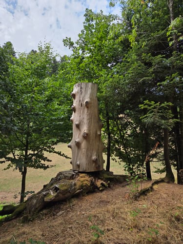 Gutacher Tälersteig (Genießerpfad)