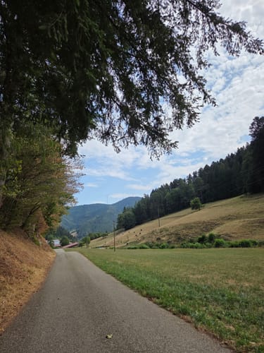 Gutacher Tälersteig (Genießerpfad)