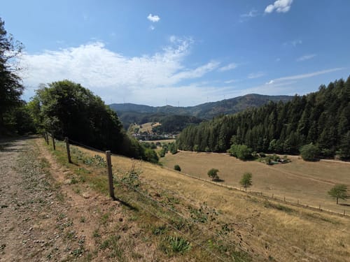 Gutacher Tälersteig (Genießerpfad)