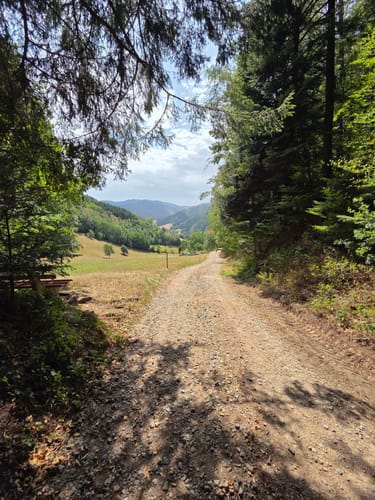 Gutacher Tälersteig (Genießerpfad)