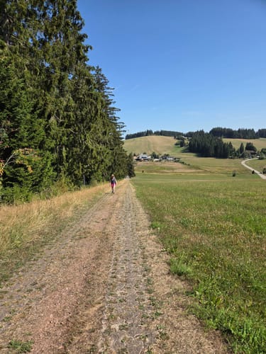 Runde zum Blindenmoor