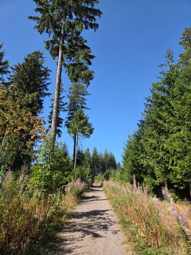 Runde zum Blindenmoor