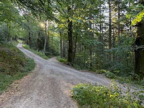 Battertfelsen Rundwanderung