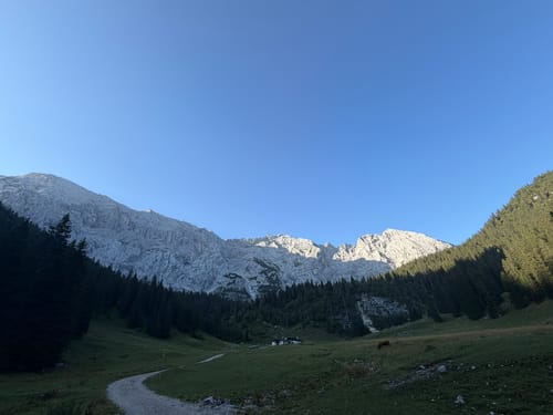 Über den Königsweg zum Schachen