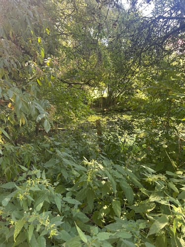 Heischeid Rundweg