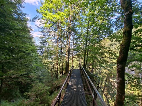 Pfronten-Steinach nach Berghause Allgäu
