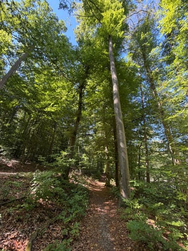 Rund um das Steinbachtal